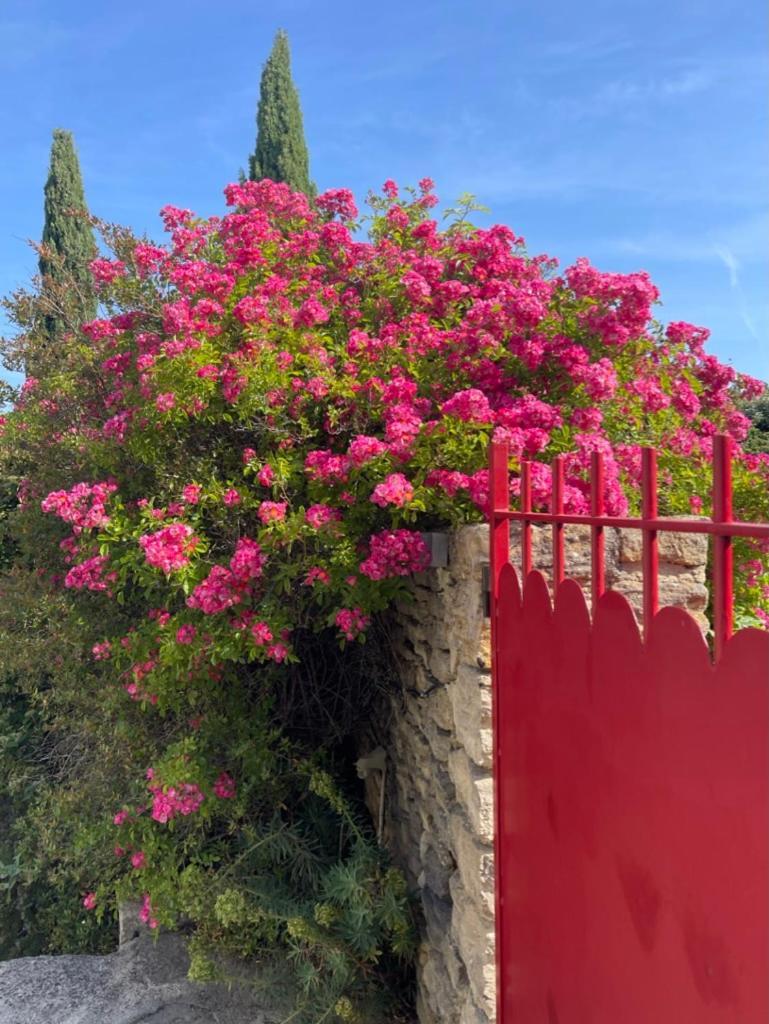 La Borie En Provence Bed and Breakfast Gordes Exteriör bild