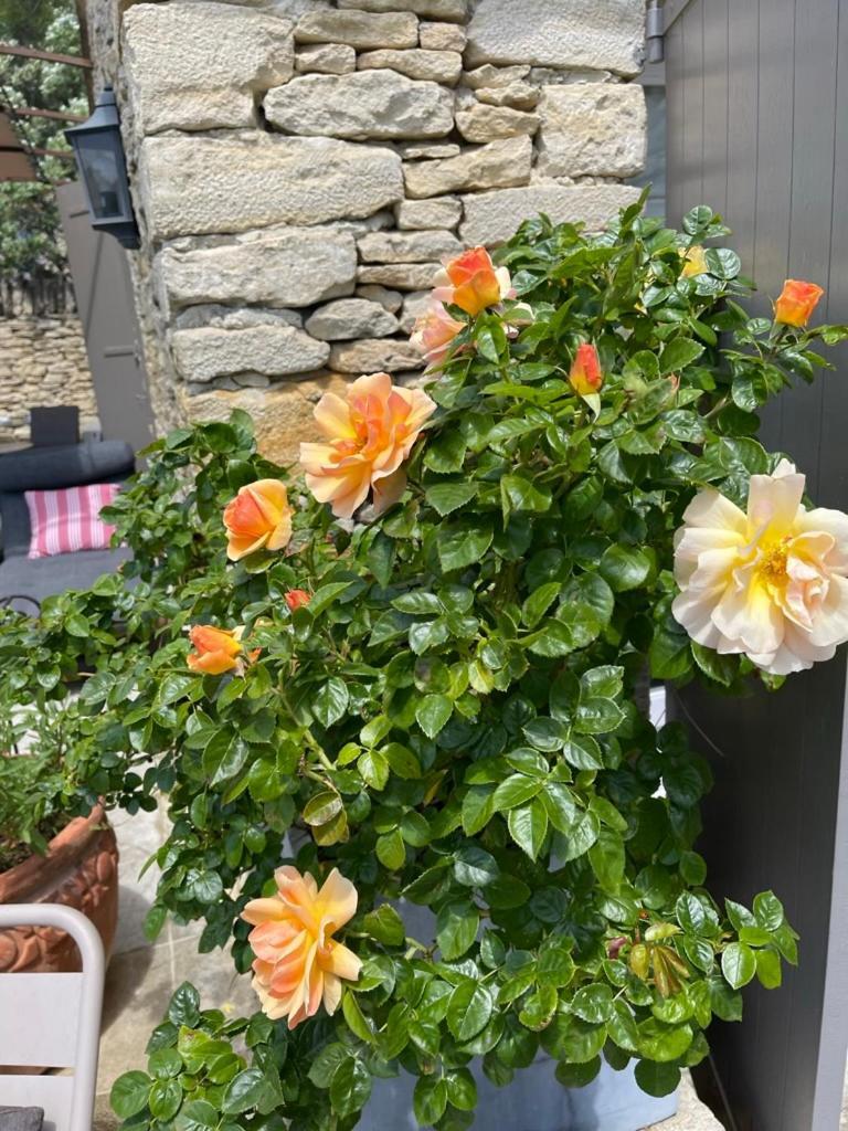 La Borie En Provence Bed and Breakfast Gordes Exteriör bild